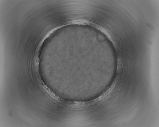 X0000110760923200907271140
