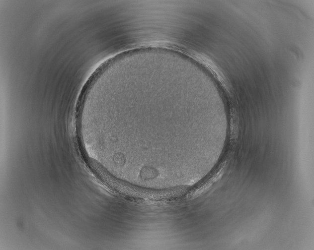 X0000110760924200907271140