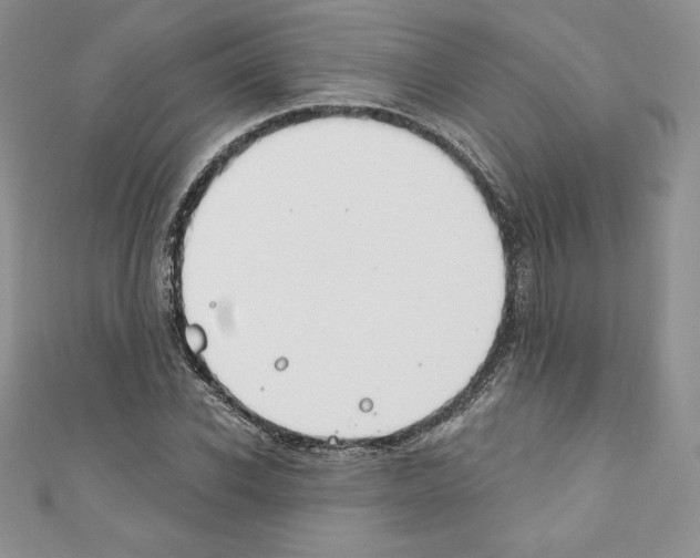 X0000110760926200907271140