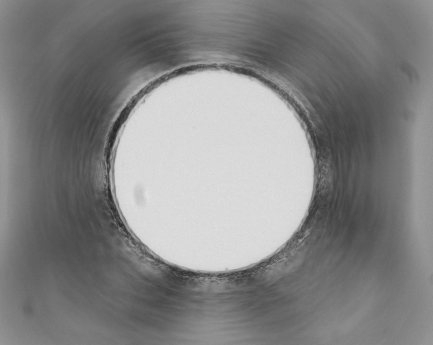 X0000110760927200907271140