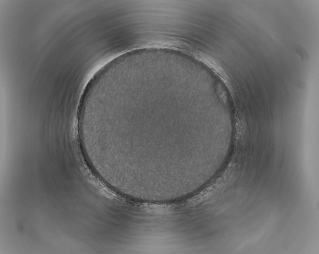 X0000110760928200907271140