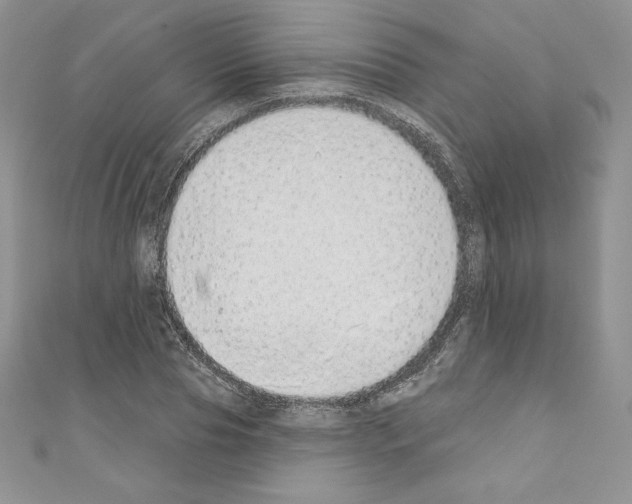 X0000110760929200907271141
