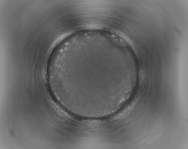 X0000110760930200907271141