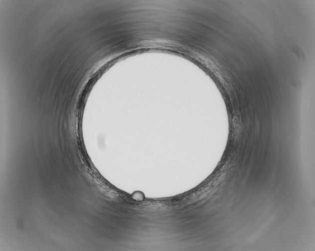 X0000110760931200907271141