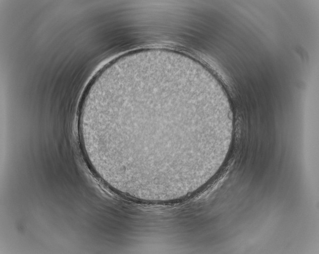 X0000110760932200907271141