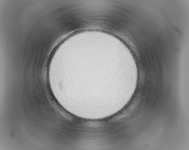 X0000110760933200907271141