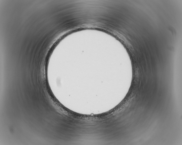 X0000110760934200907271141