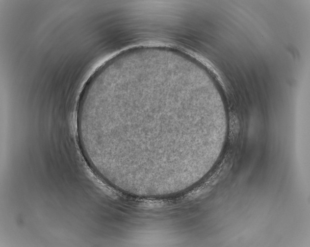 X0000110760935200907271141