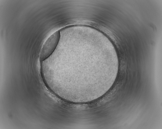 X0000110760936200907271141