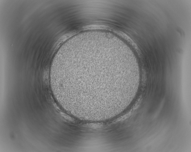 X0000110760937200907271141