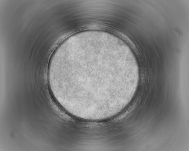 X0000110760938200907271141