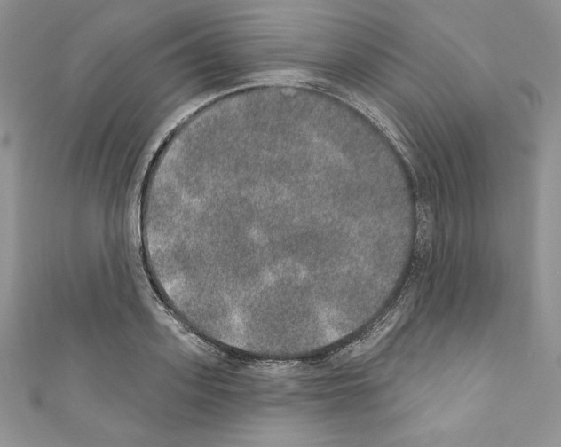 X0000110760939200907271141