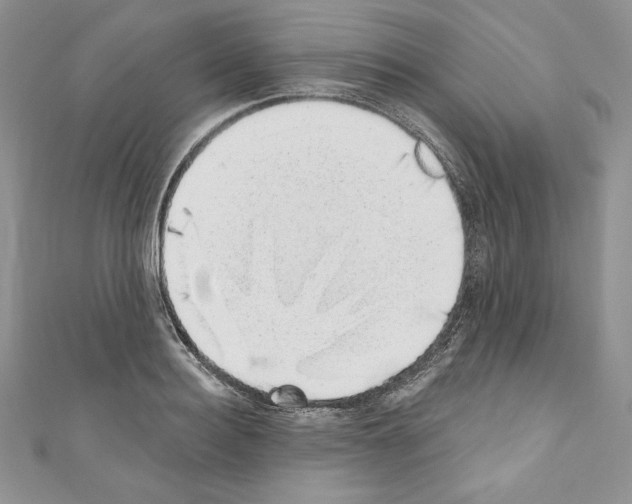 X0000110760940200907271141