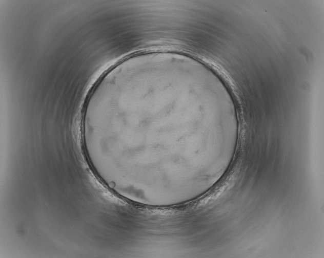 X0000110760941200907271141