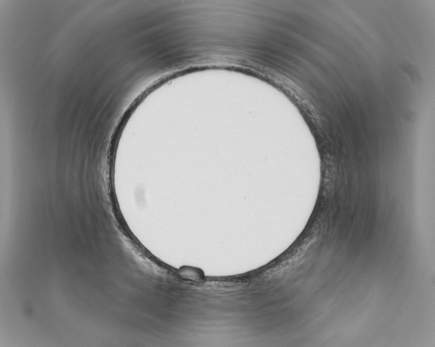 X0000110760942200907271141