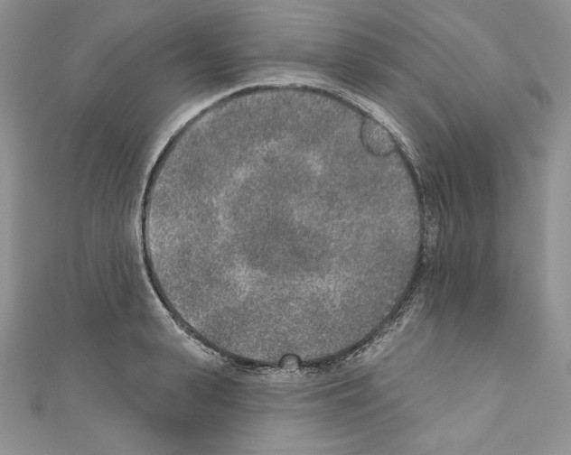 X0000110760943200907271141