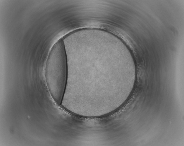 X0000110760944200907271141