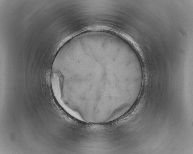 X0000110760945200907271141
