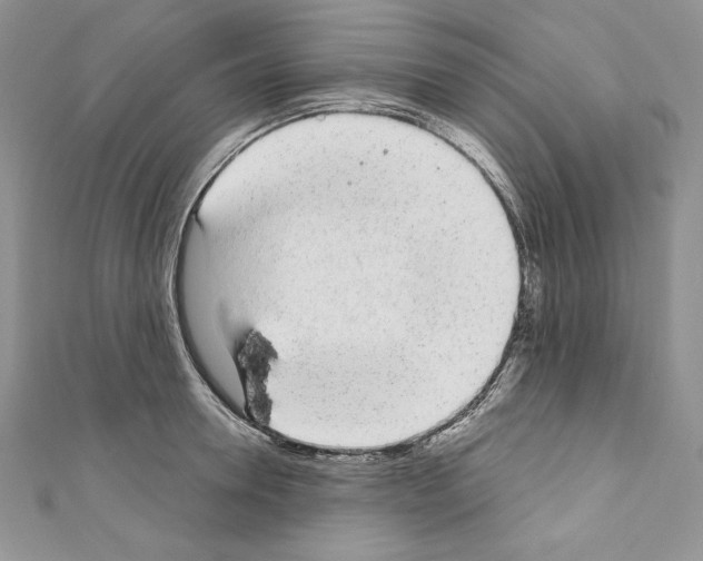 X0000110760946200907271141