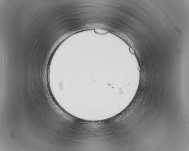 X0000110760947200907271141