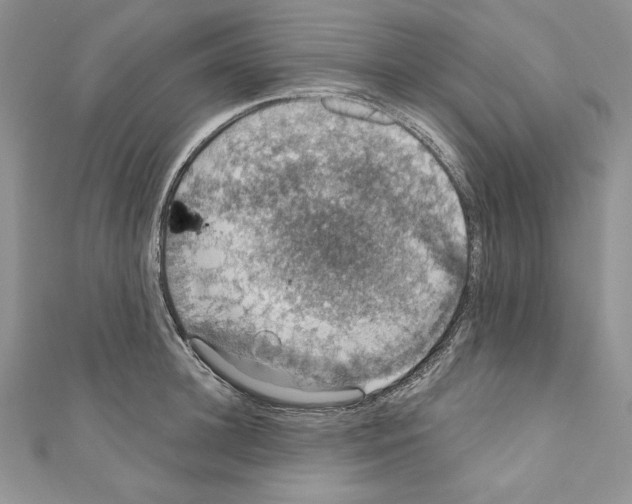 X0000110760948200907271141
