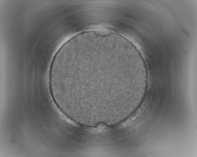 X0000110760949200907271141