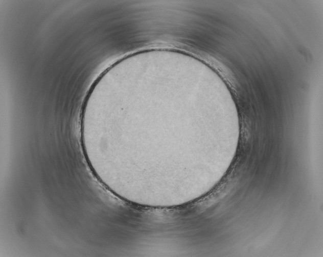 X0000110760950200907271141