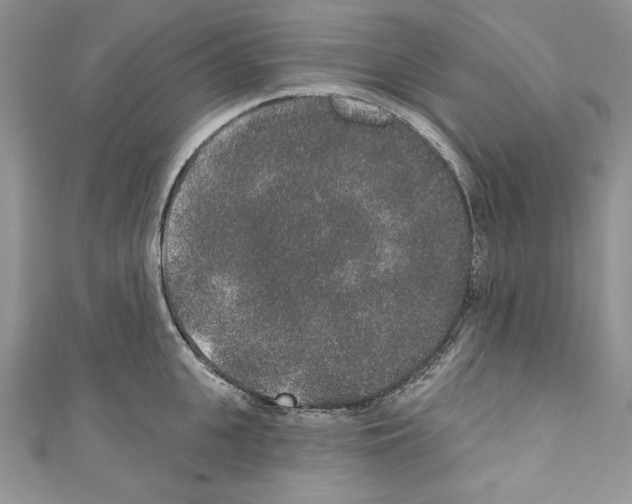 X0000110760951200907271141