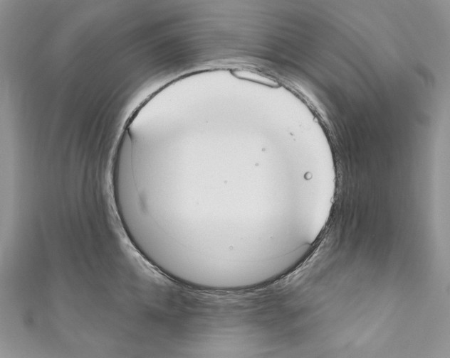 X0000110760952200907271141