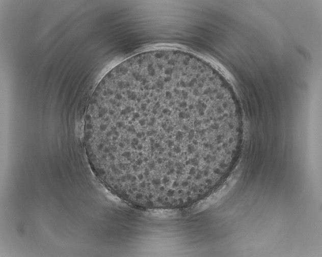 X0000110760953200907271141