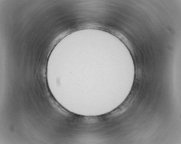 X0000110760954200907271141