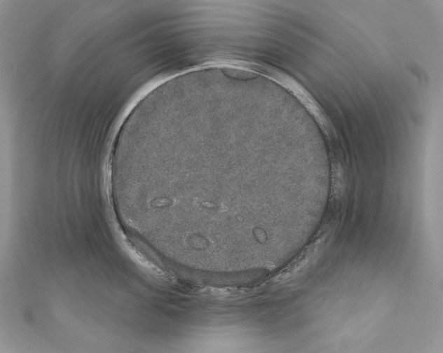 X0000110760955200907271141