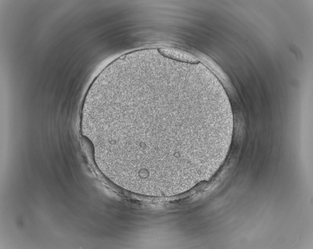 X0000110760956200907271141