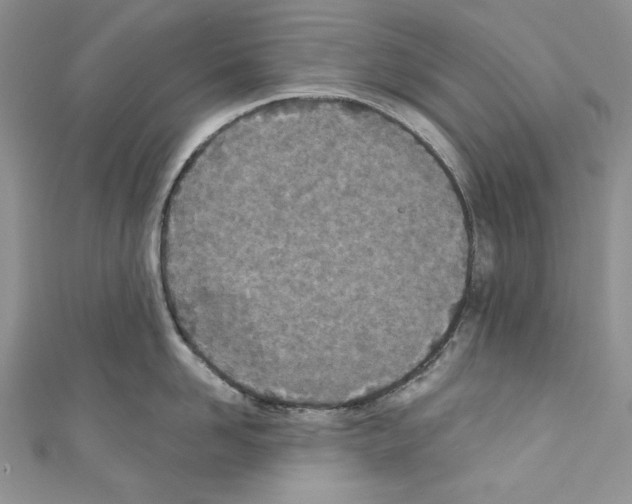 X0000110760958200907271141