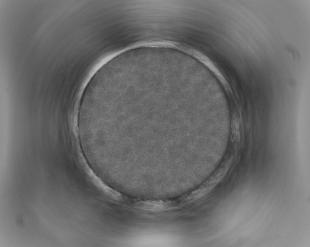 X0000110760959200907271141