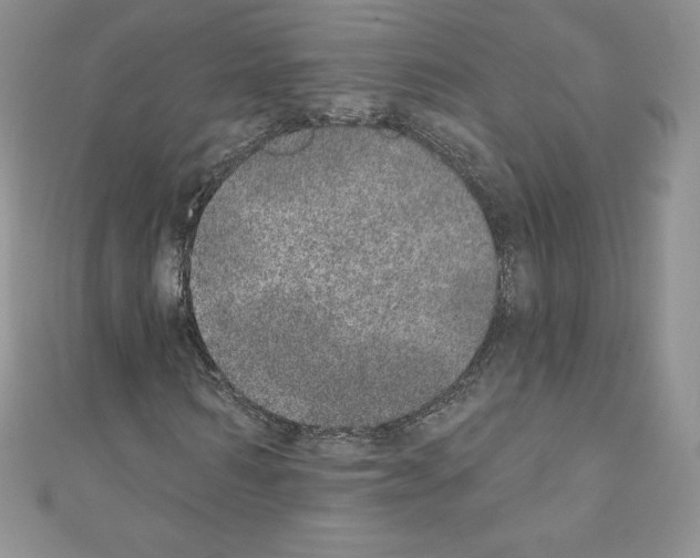 X0000110760962200907271140