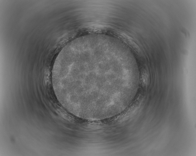 X0000110760964200907271140