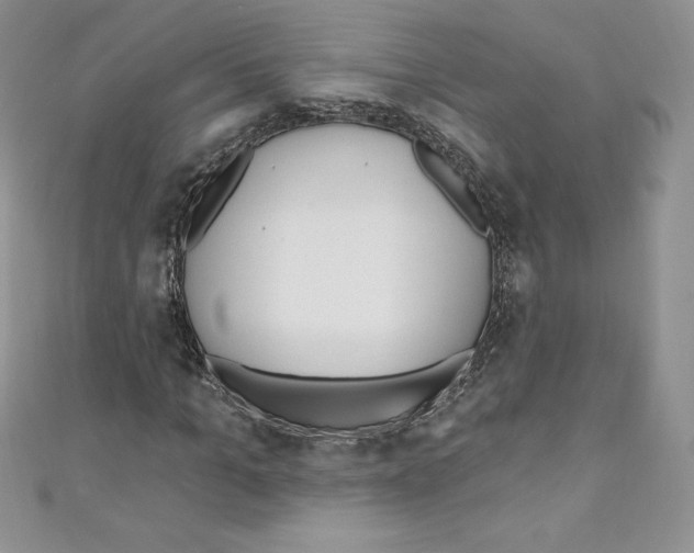 X0000110760965200907271140