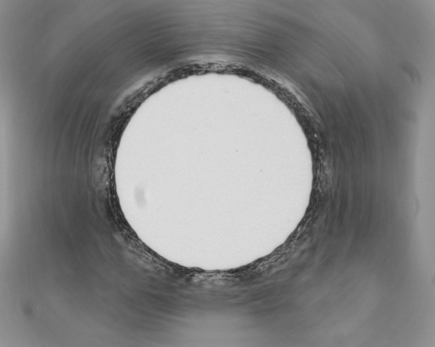 X0000110760967200907271140