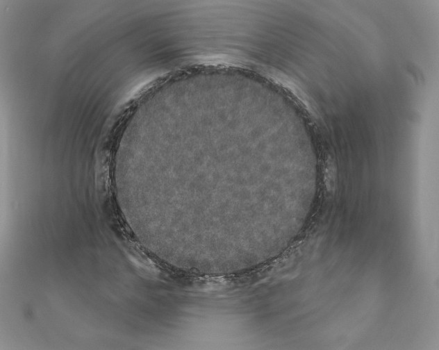 X0000110760968200907271140