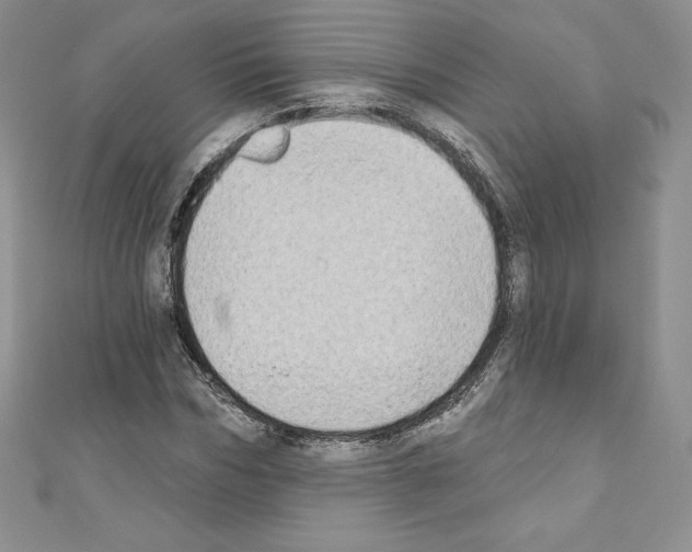 X0000110760970200907271140