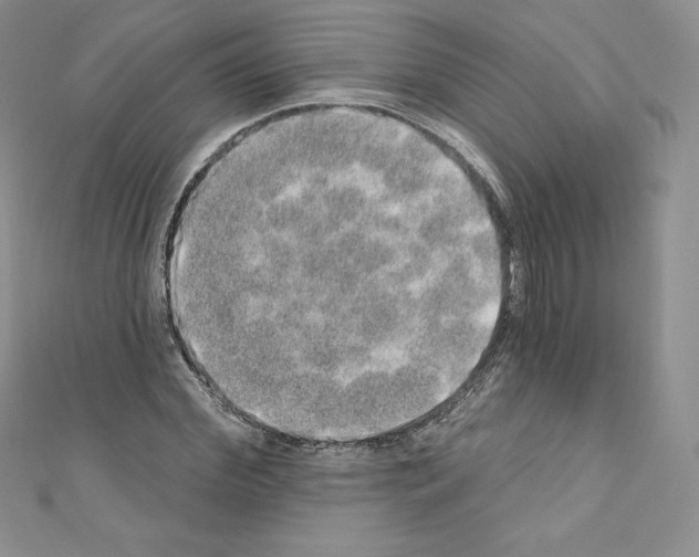 X0000110760972200907271140