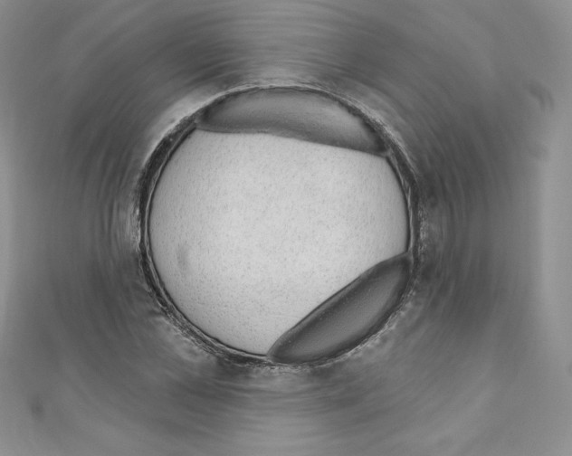 X0000110760973200907271140