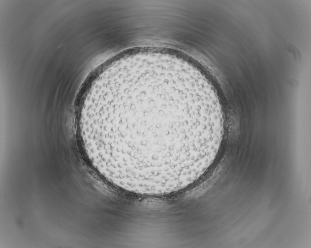 X0000110760974200907271140