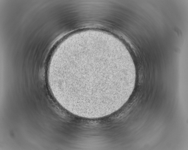 X0000110760975200907271140
