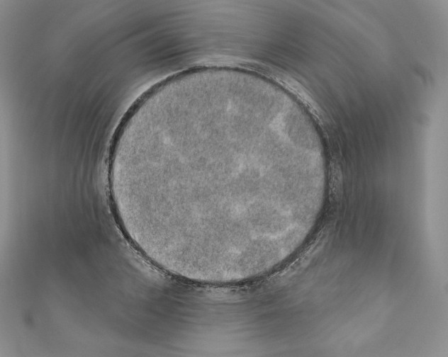 X0000110760976200907271140