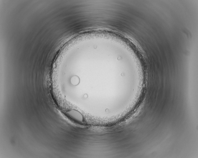 X0000110760977200907271140