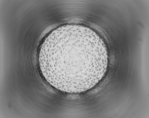 X0000110760978200907271140