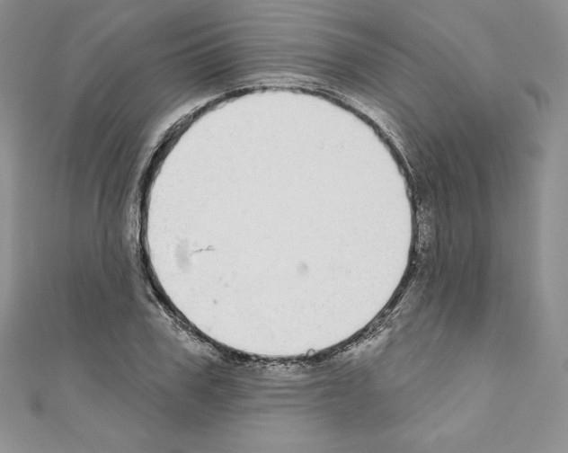 X0000110760979200907271140