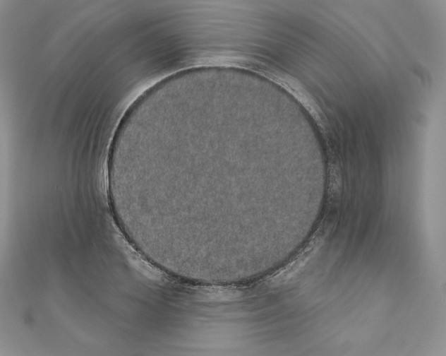 X0000110760980200907271140